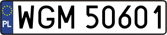 WGM50601