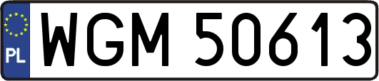 WGM50613