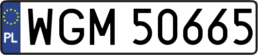 WGM50665