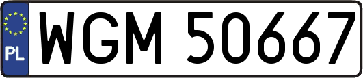 WGM50667