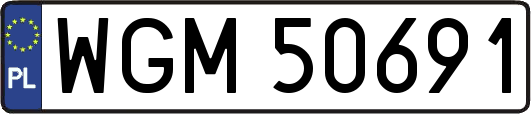 WGM50691