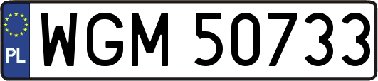 WGM50733