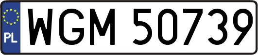 WGM50739