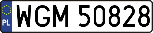 WGM50828
