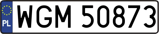 WGM50873