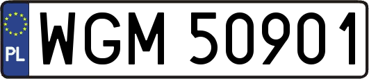 WGM50901