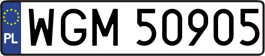 WGM50905