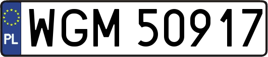 WGM50917