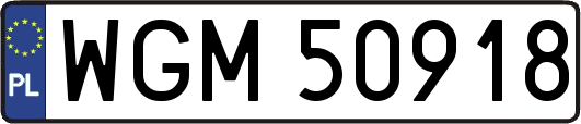 WGM50918