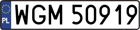 WGM50919