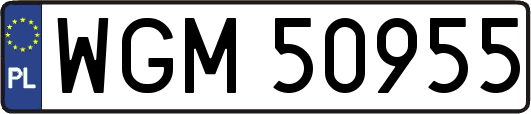 WGM50955