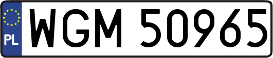 WGM50965