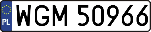 WGM50966