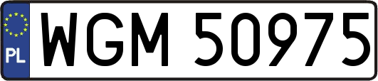 WGM50975