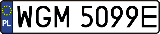 WGM5099E