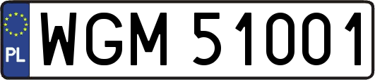 WGM51001