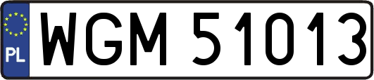 WGM51013