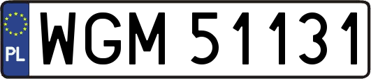 WGM51131