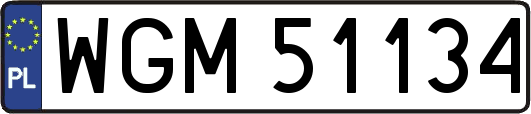 WGM51134