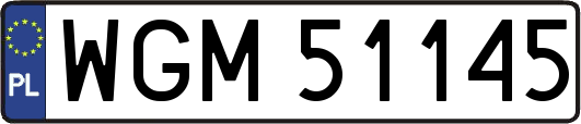 WGM51145