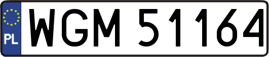 WGM51164
