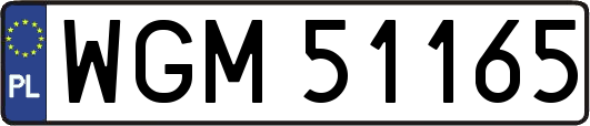 WGM51165