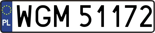 WGM51172