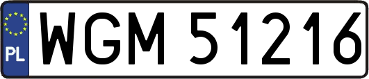 WGM51216