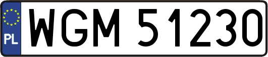 WGM51230