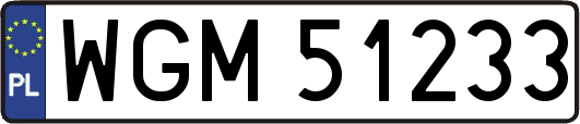 WGM51233