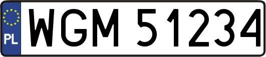 WGM51234