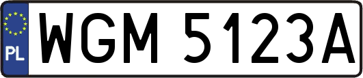 WGM5123A