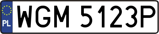 WGM5123P