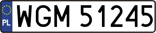 WGM51245