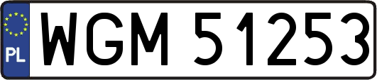 WGM51253