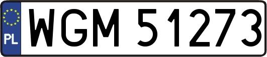 WGM51273
