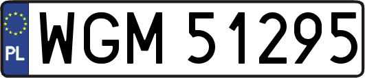 WGM51295