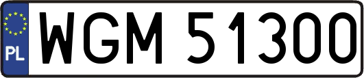 WGM51300