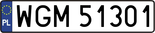 WGM51301