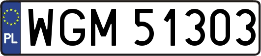 WGM51303