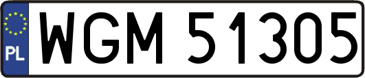 WGM51305