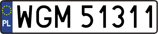 WGM51311