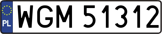 WGM51312