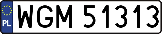 WGM51313