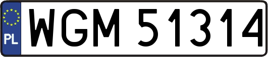 WGM51314