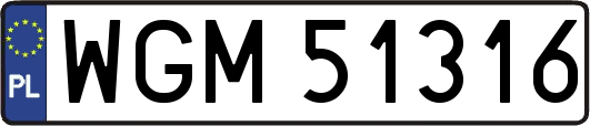 WGM51316