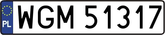 WGM51317