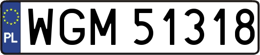 WGM51318
