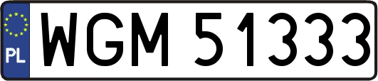 WGM51333
