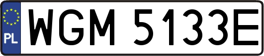 WGM5133E